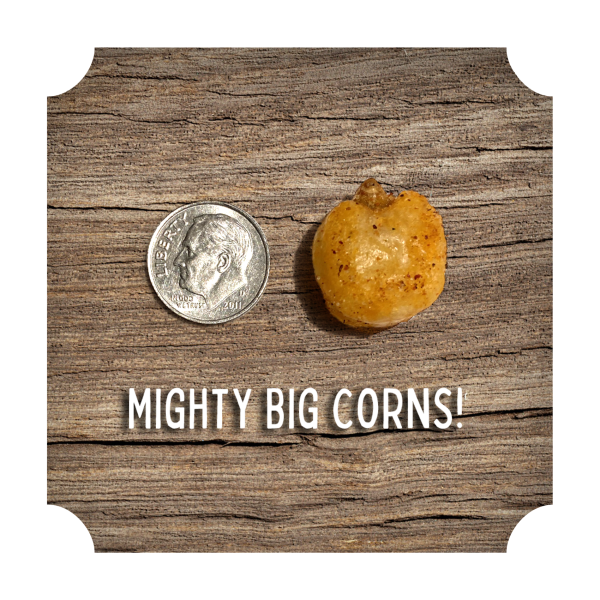 CRUNCHIN  CORN - VARIETY PACK Online - Image 2