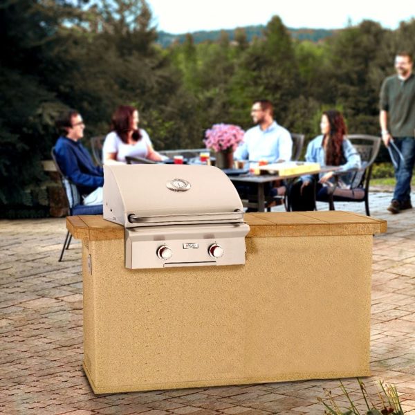 American Outdoor Grill T-Series 24-Inch Built-In Gas Grill on Sale - Image 2